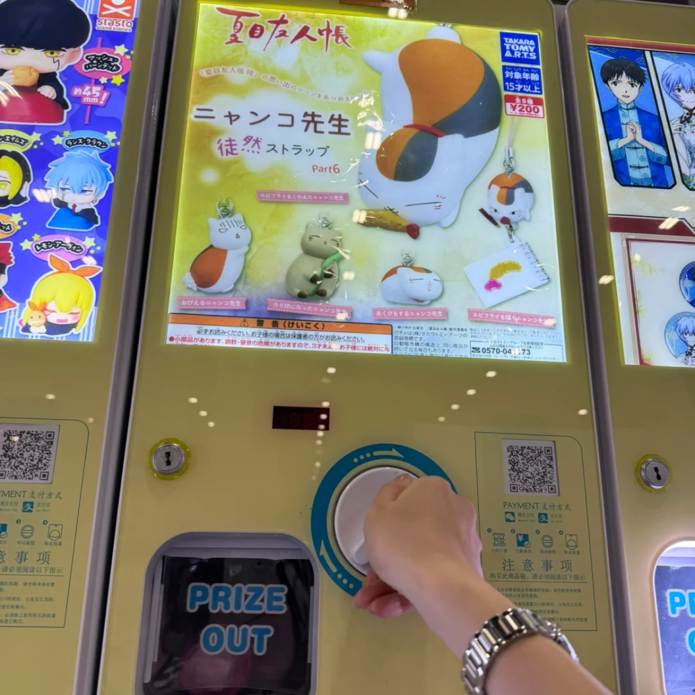 Quality Choice Gachapon Machin - مراجعة Arcade Machine Profit وسعره
